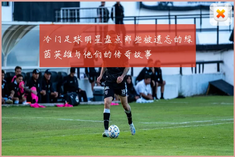 冷门足球明星盘点那些被遗忘的绿茵英雄与他们的传奇故事