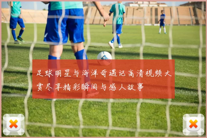 足球明星与海洋奇遇记高清视频大赏尽享精彩瞬间与感人故事