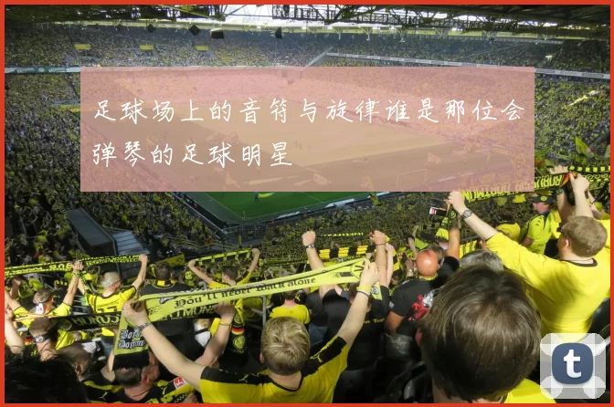 足球场上的音符与旋律谁是那位会弹琴的足球明星