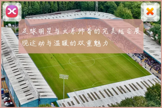 足球明星与犬系帅哥的完美结合展现运动与温暖的双重魅力