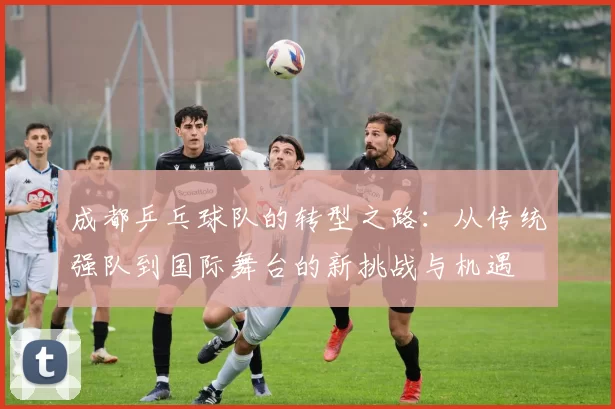 成都乒乓球队的转型之路：从传统强队到国际舞台的新挑战与机遇
