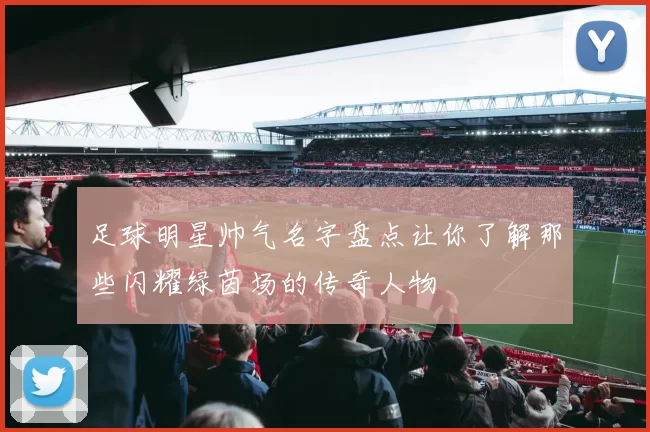 足球明星帅气名字盘点让你了解那些闪耀绿茵场的传奇人物