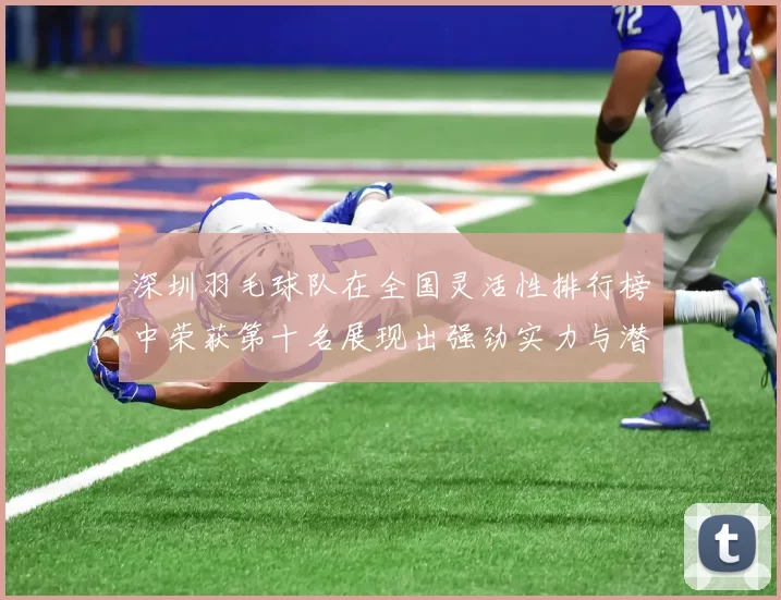 深圳羽毛球队在全国灵活性排行榜中荣获第十名展现出强劲实力与潜力