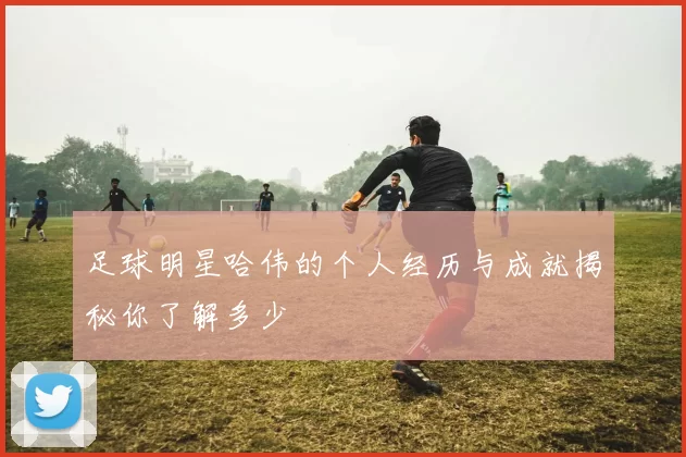 足球明星哈伟的个人经历与成就揭秘你了解多少