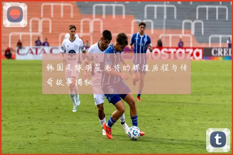 韩国足球明星老将的辉煌历程与传奇故事揭秘